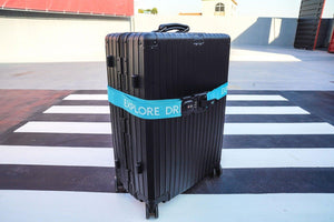 ebbly strap and aluminum luggage